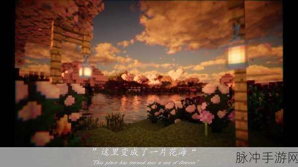 探秘奇幻之旅，解锁我的世界法兰西菊的隐秘宝藏