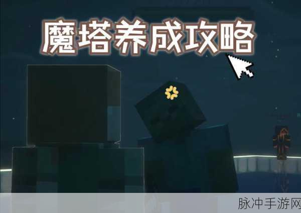探秘奇幻之旅,解锁我的世界法兰西菊的隐秘宝藏
