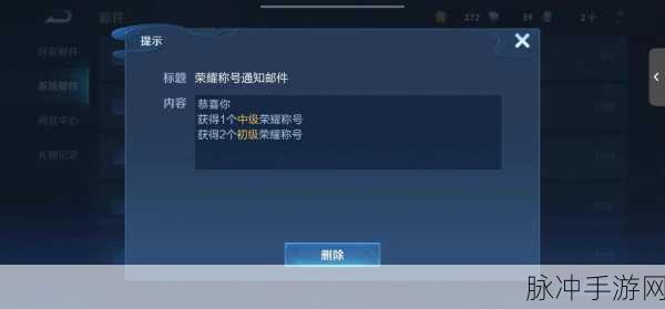 元歌专属ID，解锁王者荣耀中的荣耀密码