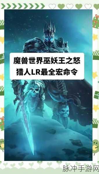 魔兽世界术士宏命令全解析，助你战场无敌