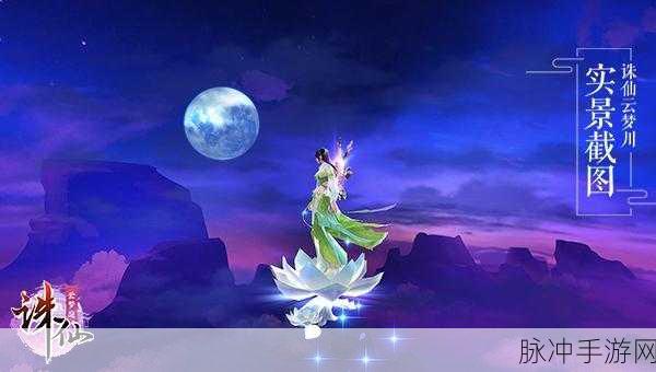 诛仙手游深度探索，揭开法宝伤心花的绝美面纱