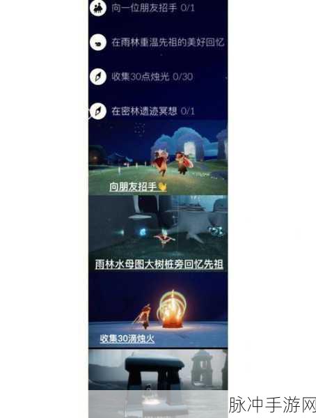光遇,解锁荧光森林冥想任务的神秘之旅