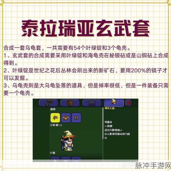 泰拉瑞亚探秘，解锁寒霜龟壳的终极奥秘