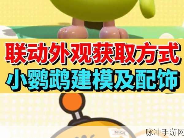 蛋仔派对小鹦鹉BEBE，萌宠联动，获取攻略全揭秘