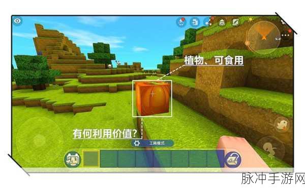 迷你世界探险秘籍大揭秘,闪烁方西瓜片引领的奇幻之旅