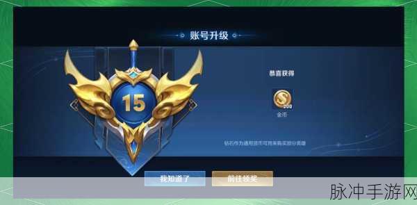 王者荣耀战队升级全攻略,解锁等级提升的秘密
