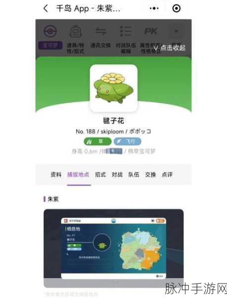 宝可梦朱紫,揭秘亲密度查看与提升全攻略
