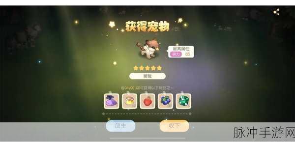 奥比岛探险指南,揭秘宠物捕捉的神秘地点