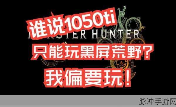 1050ti显卡畅享怪物猎人，画质调节全攻略