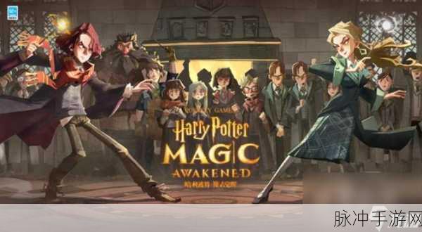 哈利波特魔法觉醒,揭秘魔药世界的无尽奥秘与奇效