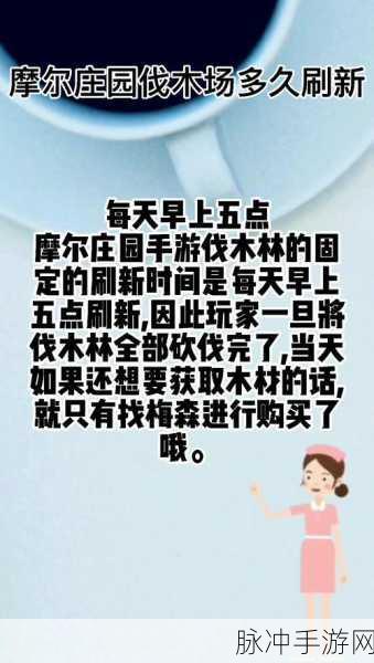 摩尔庄园伐木林刷新全攻略，时间与策略的智慧碰撞