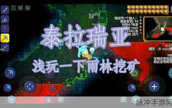 泰拉瑞亚探险必备,熔岩吸收海绵的奥秘与获取攻略