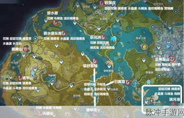 原神探秘之旅，解锁镇假龙垂钓秘境的终极指南！
