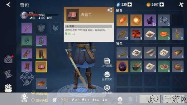 冰原守卫者后期武器刷金全攻略,高效武器推荐与实战技巧