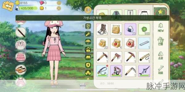 新小森生活韩服上线，沉浸式田园生活等你来体验
