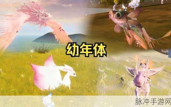妄想山海荆熊寻觅之旅,详尽位置攻略与寻找技巧