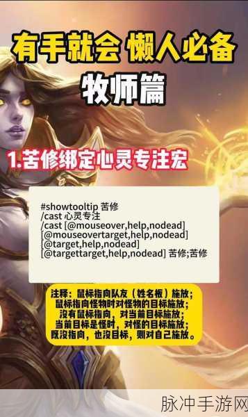魔兽世界WLK治疗牧师秘籍，宏命令在手，治疗效率飙升