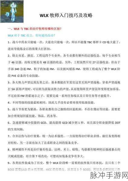 魔兽世界WLK治疗牧师秘籍,宏命令在手,治疗效率飙升