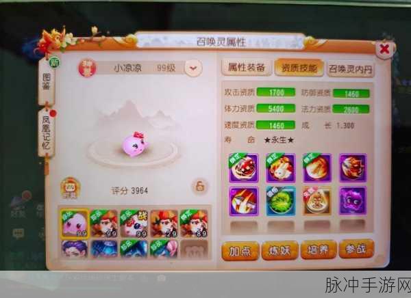 梦幻西游手游物攻宠选择全攻略，揭秘选择方式与宠物演变史