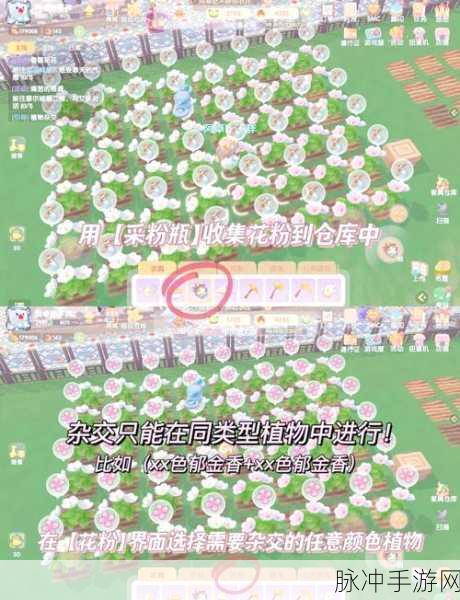 摩尔庄园手游，绿意盎然，种植物乐享无限快乐！
