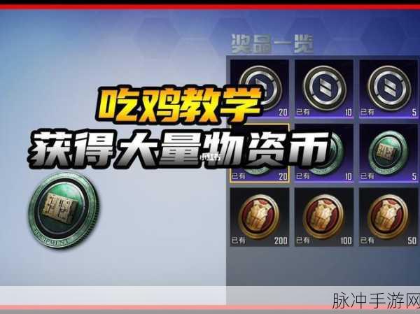 和平精英物资币全攻略，解锁游戏新体验