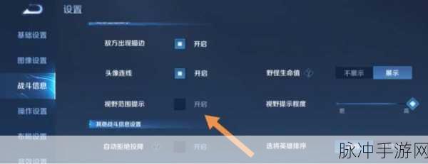 王者荣耀头顶之眼，揭秘神秘视野标识的深层含义