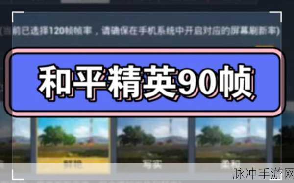 和平精英阴影效果设置全攻略