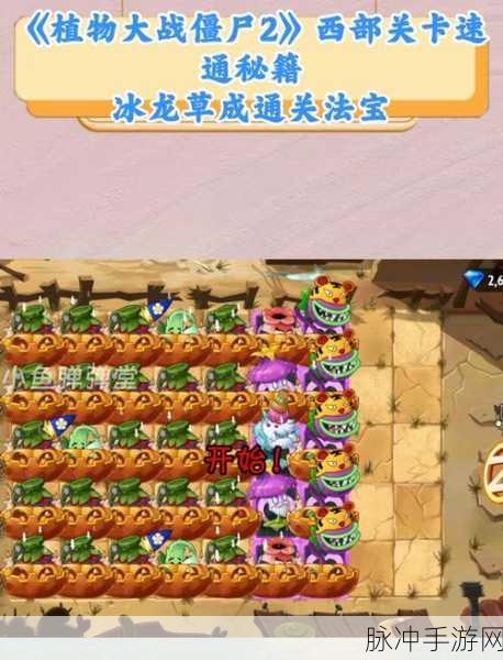 植物大战僵尸2第15关通关秘籍,策略与技巧并重