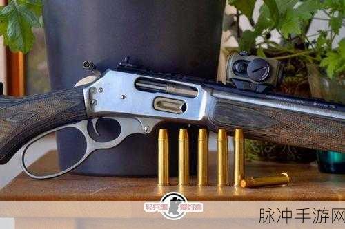 孤岛惊魂6,步枪王者之争,最强步枪推荐指南