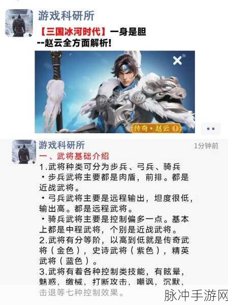 极无双2赵云全攻略,玩法深度剖析与武将搭配秘籍