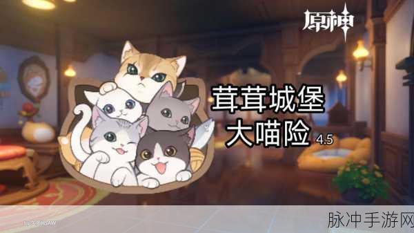 探秘喵绅hcmoic，原神玩家的梦幻乐园，不容错过的奇妙之旅