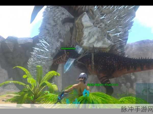 方舟端游挑战极限，难度等级全揭秘，勇闯最高难度的冒险之旅