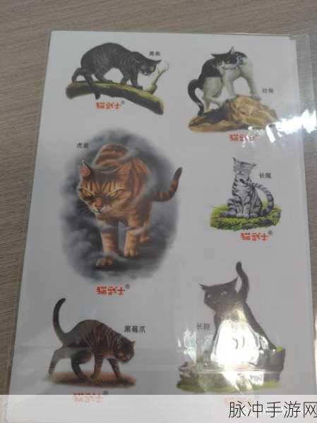 猫之城绯红武士，涂鸦搭配攻略与实战应用