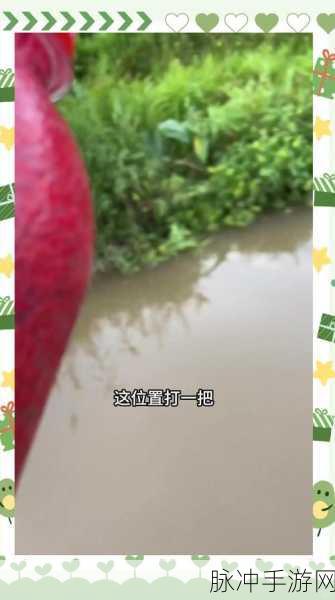 航海王热血航线里的美食奇遇,大盘鸡配方大公开,独家烹饪秘籍与味蕾盛宴