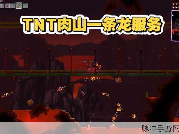泰拉瑞亚,揭秘火箭发射器弹药的威力与奥秘