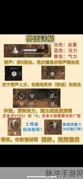 黑神话，悟空速刷经验秘籍！揭秘最快升级路径