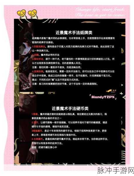 茄子变奏曲,探索创造与魔法中的烹饪奇幻世界