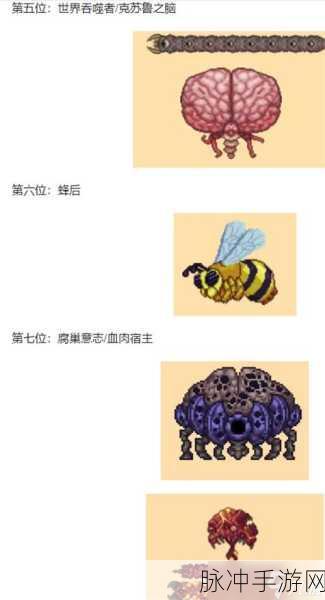 泰拉瑞亚灾厄模组，揭秘远古布匹的获取之道