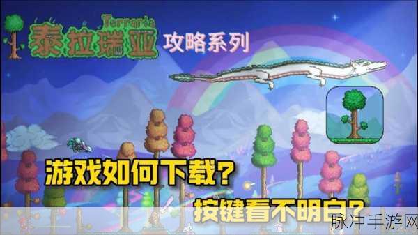 Steam泰拉瑞亚三版本选购指南,哪款最适合你?