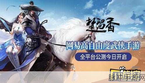 楚留香手游双人奇遇任务全攻略，携手共赴江湖奇遇