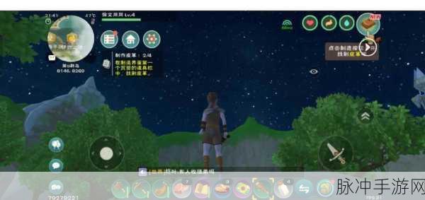 创造与魔法,动物驯服宝典,开启奇幻世界的冒险新篇章!