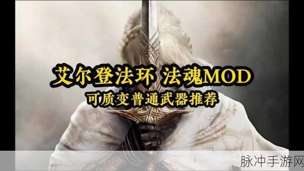 艾尔登法环武士流派全解析,打造你的专属战斗风格