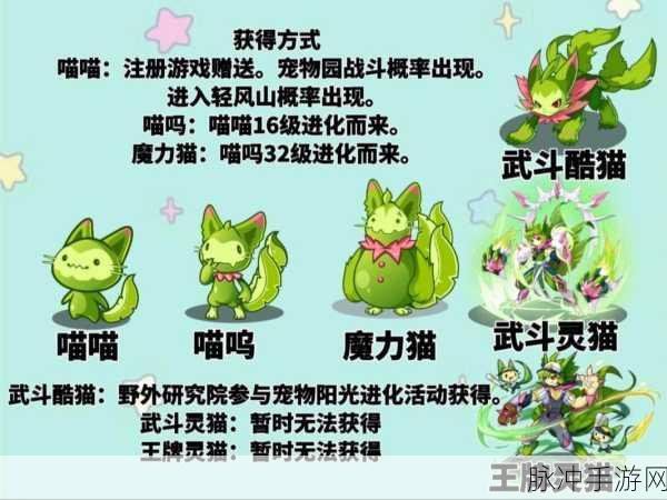 洛克王国，揭秘魔力猫的超进化之路