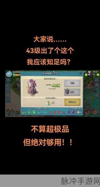 海岛奇兵海龟雕像，解锁游戏新乐趣的钥匙