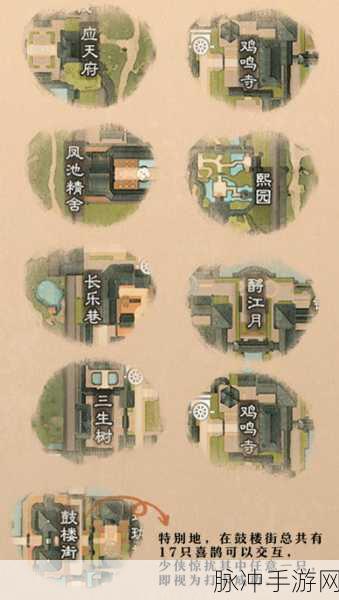 一梦江湖喜鹊栖息地全揭秘,共赏自然绮丽与生态和谐