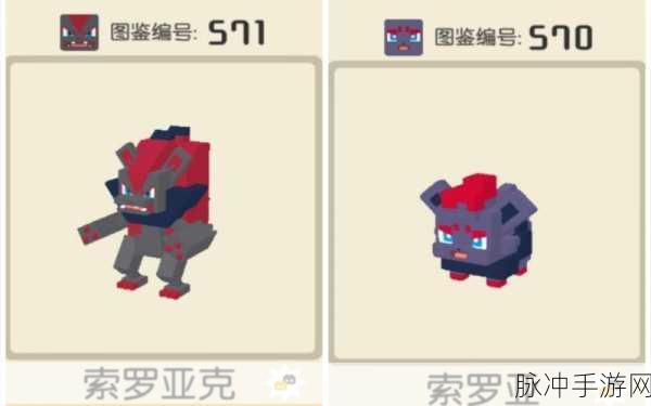 2025年宝可梦大集结，索罗亚克玩法与战术全揭秘