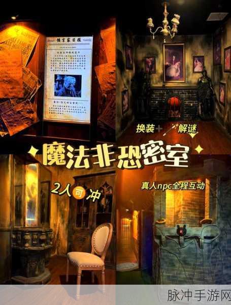 哈利波特密室探险，揭秘神秘入口位置