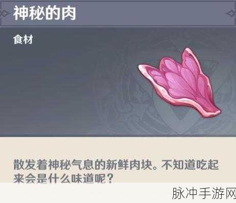 原神探险烹饪新纪元,揭秘食材的神秘力量