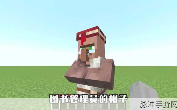 探索我的世界图书管理员的秘密交易,解锁知识宝藏