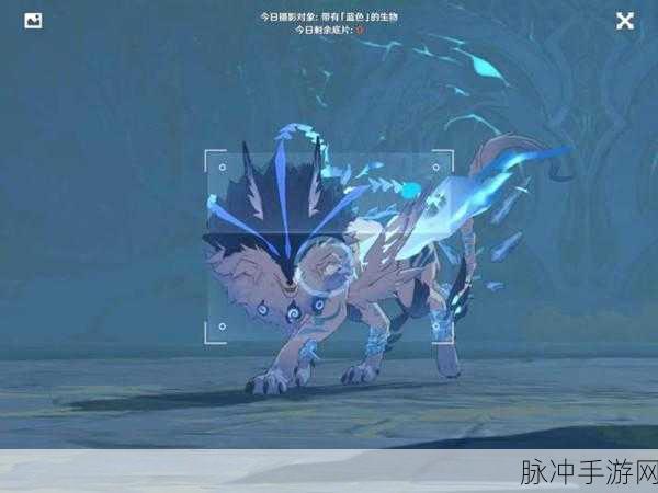 探索原神世界，揭秘那些迷人的蓝色生物